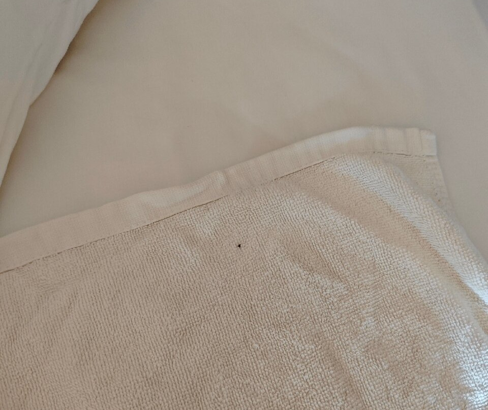 热浪岛拉古娜度假村主图