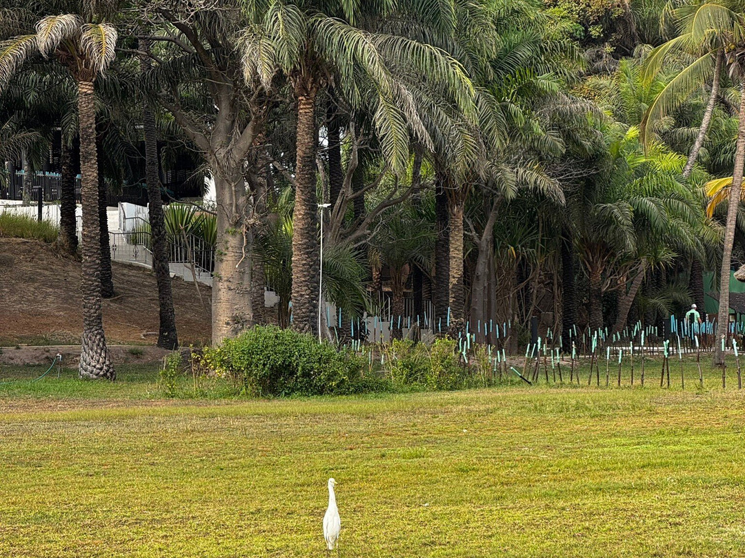 斯佳林海角地中海度假村主图