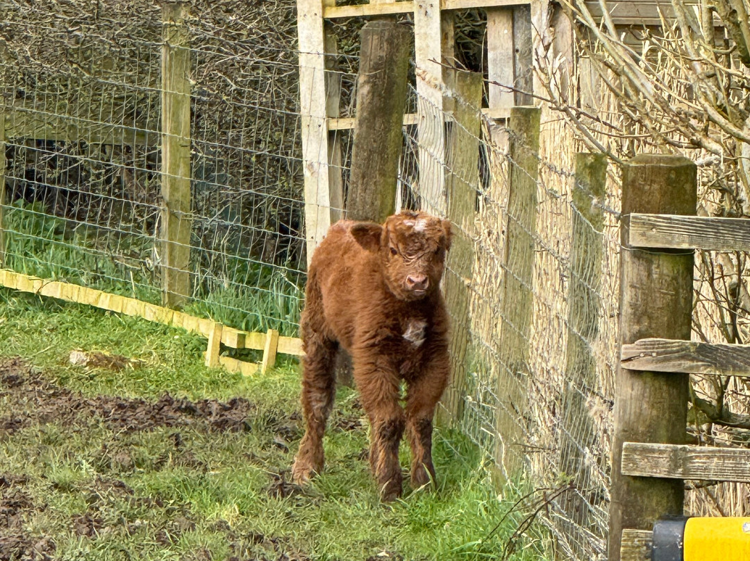 Craigbank Farm-Kilmarnock必去景点