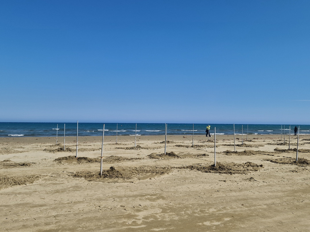 Finikoudes Beach-拉纳加必去景点
