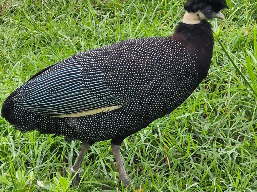 Parque Arvorar-Aquiraz必去景点