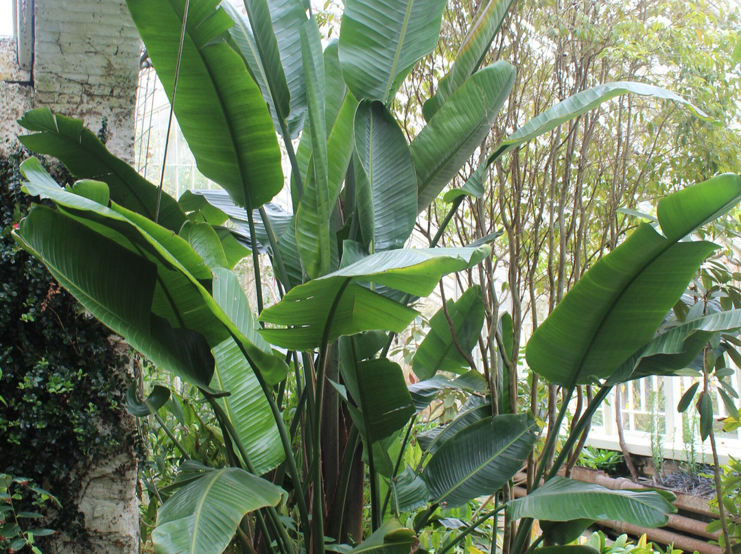 Tregrehan Garden-Par必去景点