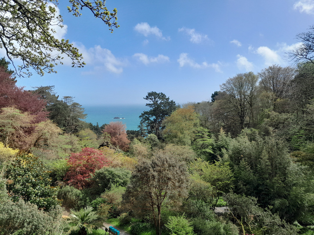 Coleton Fishacre-Kingswear必去景点