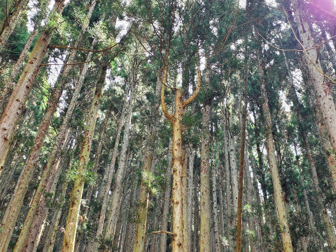 一茶小巷 美汤之宿旅馆主图
