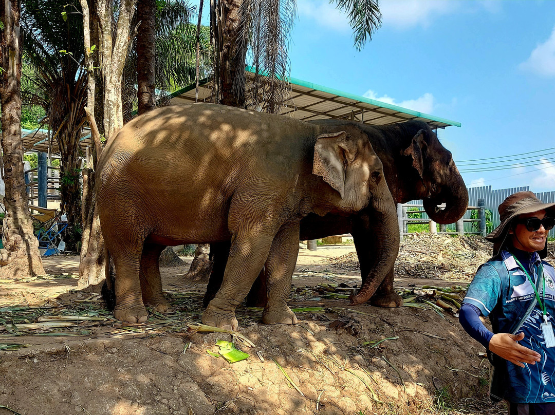 Phuket Elephant Nature Reserve-他朗必去景点