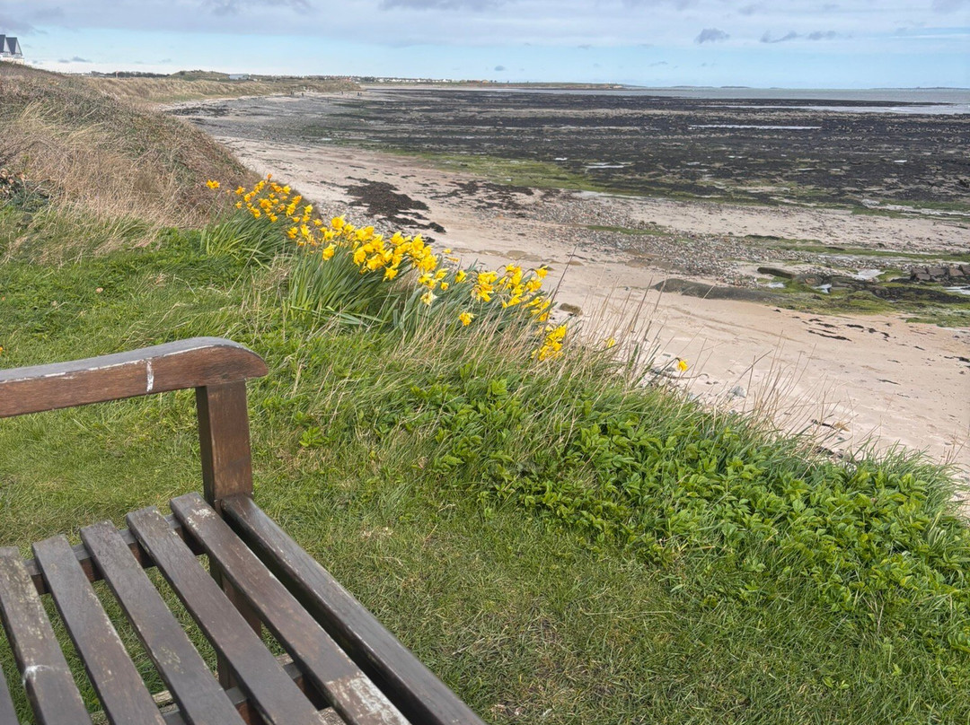 Beadnell Bay Beach-Beadnell必去景点