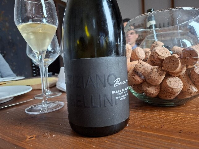Bellini Tiziano Wines
