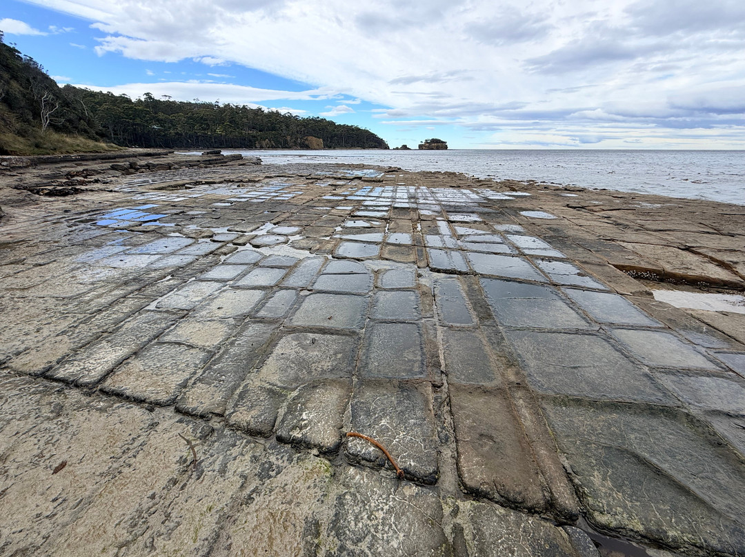 Tessellated Pavement-伊格尔霍克内克必去景点