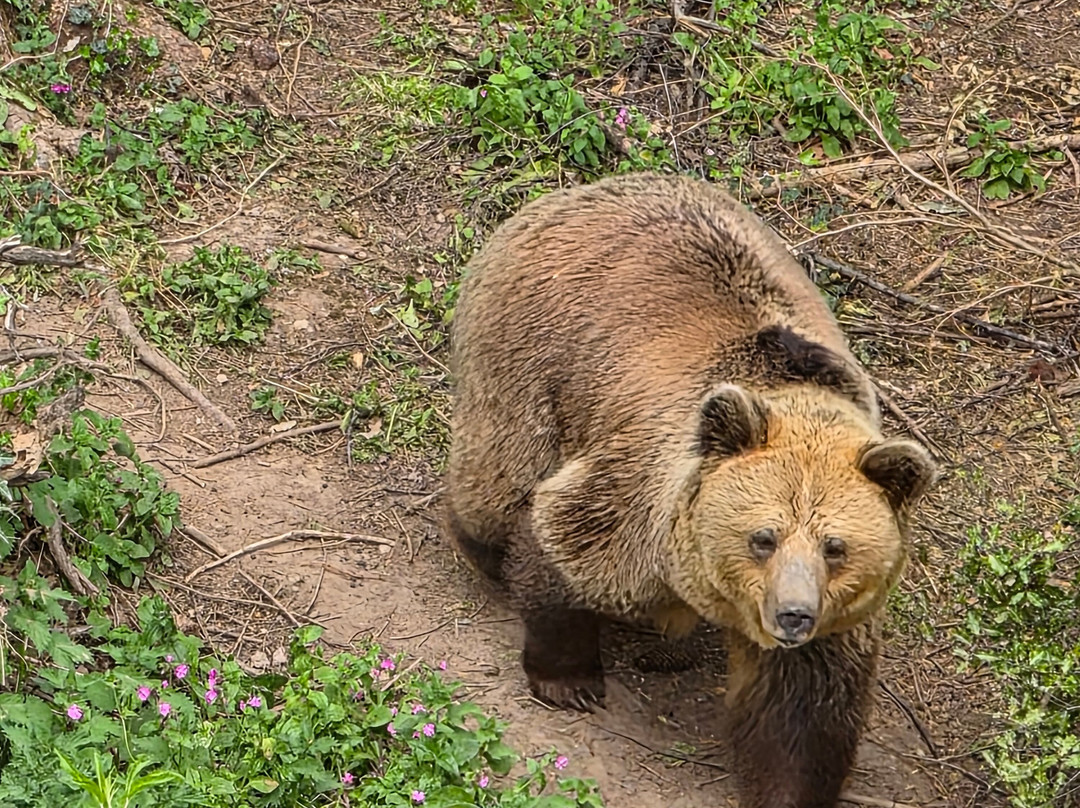 Wildwood Devon-Ottery St. Mary必去景点