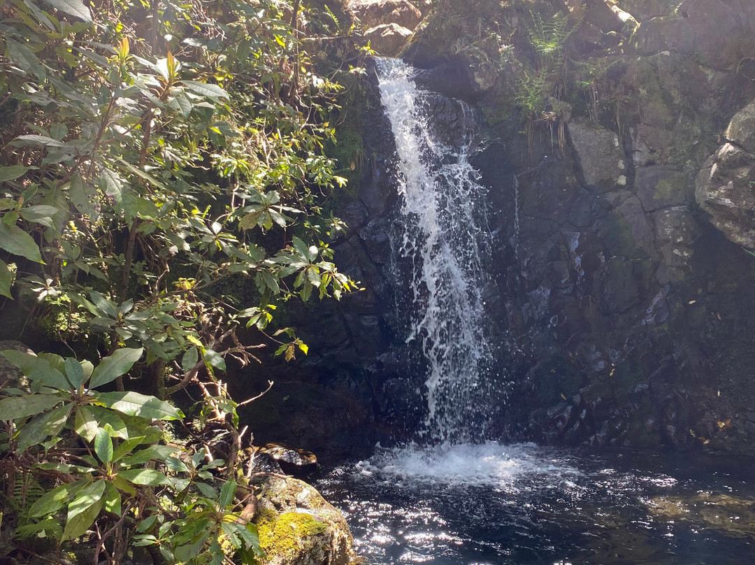Madeira Wonder Hikes-沙尔必去景点