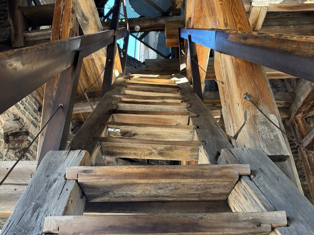 Bell Tower of Vilnius Cathedral-维尔纽斯必去景点