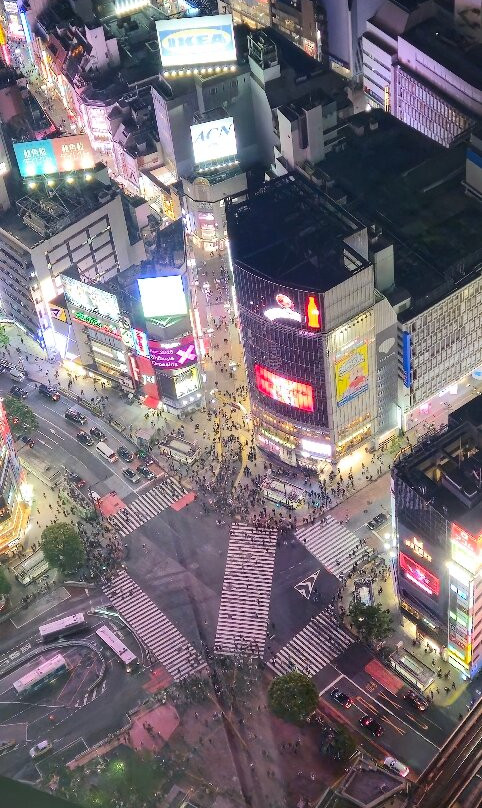 Shibuya Sky-涩谷区必去景点