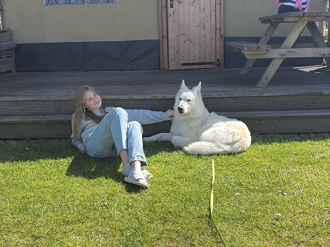 Camping Cupido