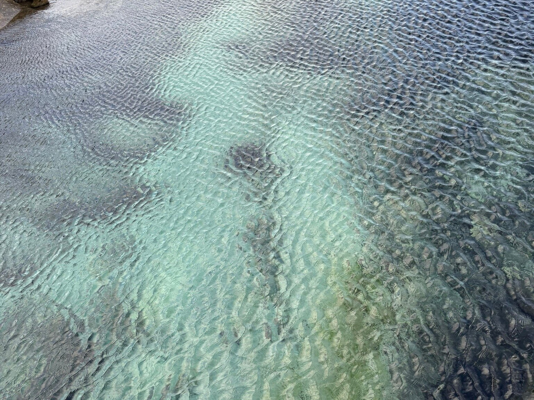 Sakrisøya-雷讷必去景点