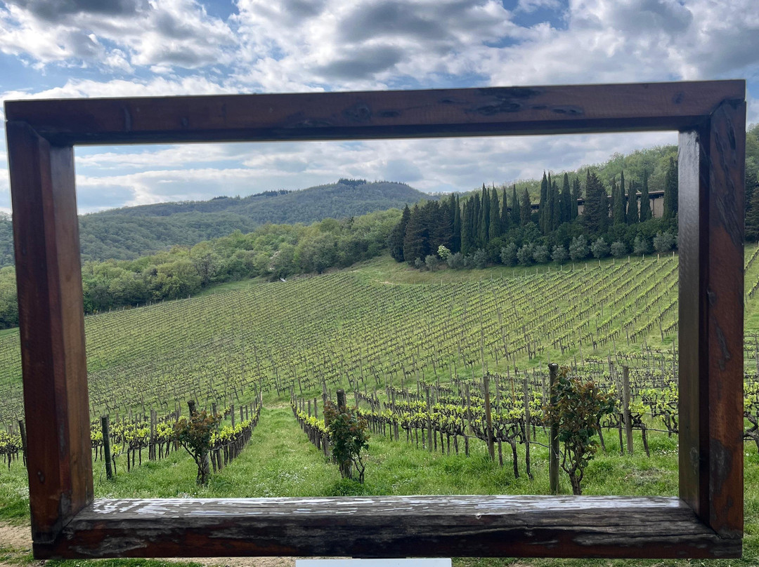 Castello di Albola-拉达因基安蒂必去景点