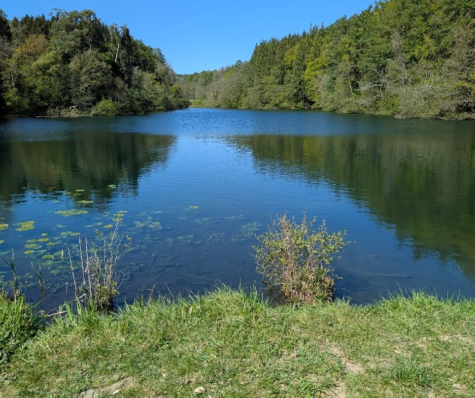 Woodchester Park-斯特劳德必去景点