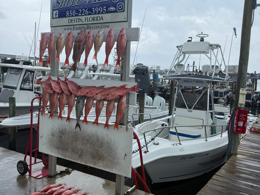 Silver King Charters of Destin-Sandestin必去景点