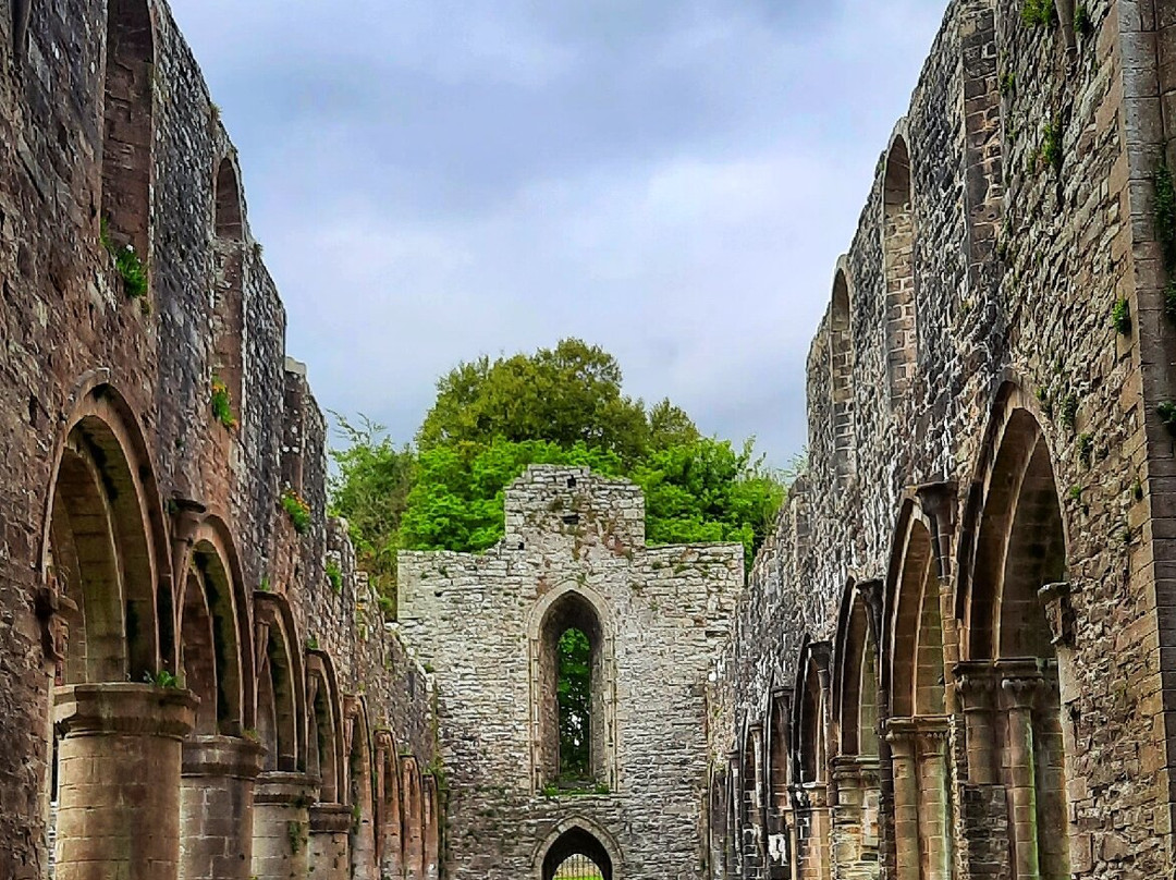 Boyle Abbey-Boyle必去景点