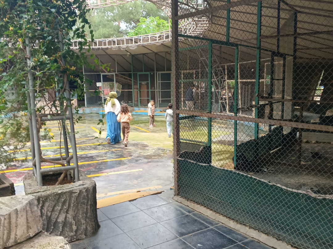 Dino Park-Goynuk必去景点