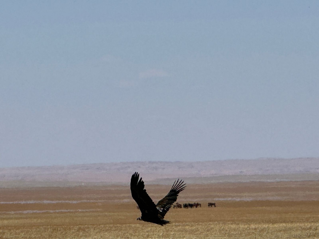 Amicus Travel Mongolia-乌兰巴托必去景点