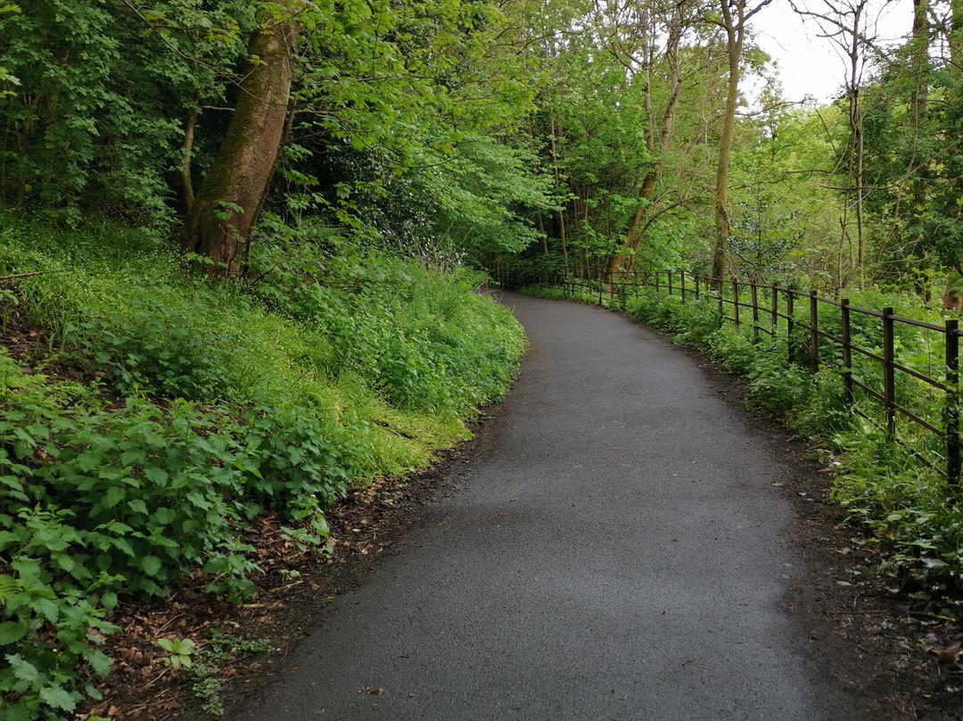 Kelvingrove Park-格拉斯哥必去景点