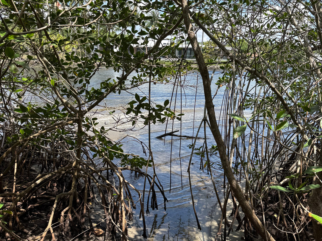 Secret Woods Nature Center-达尼亚滩必去景点