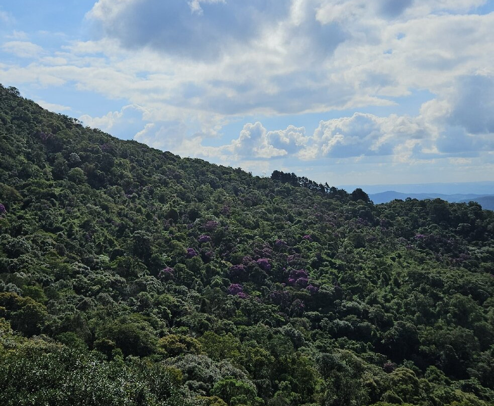 Trilha da Pedra Redonda-蒙特贝尔德必去景点