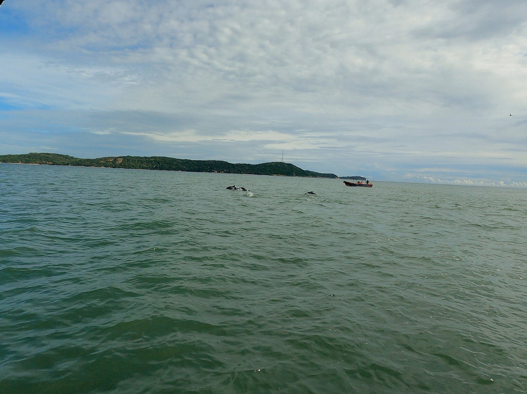 Trinco Water Sport Tours-Trincomalee必去景点