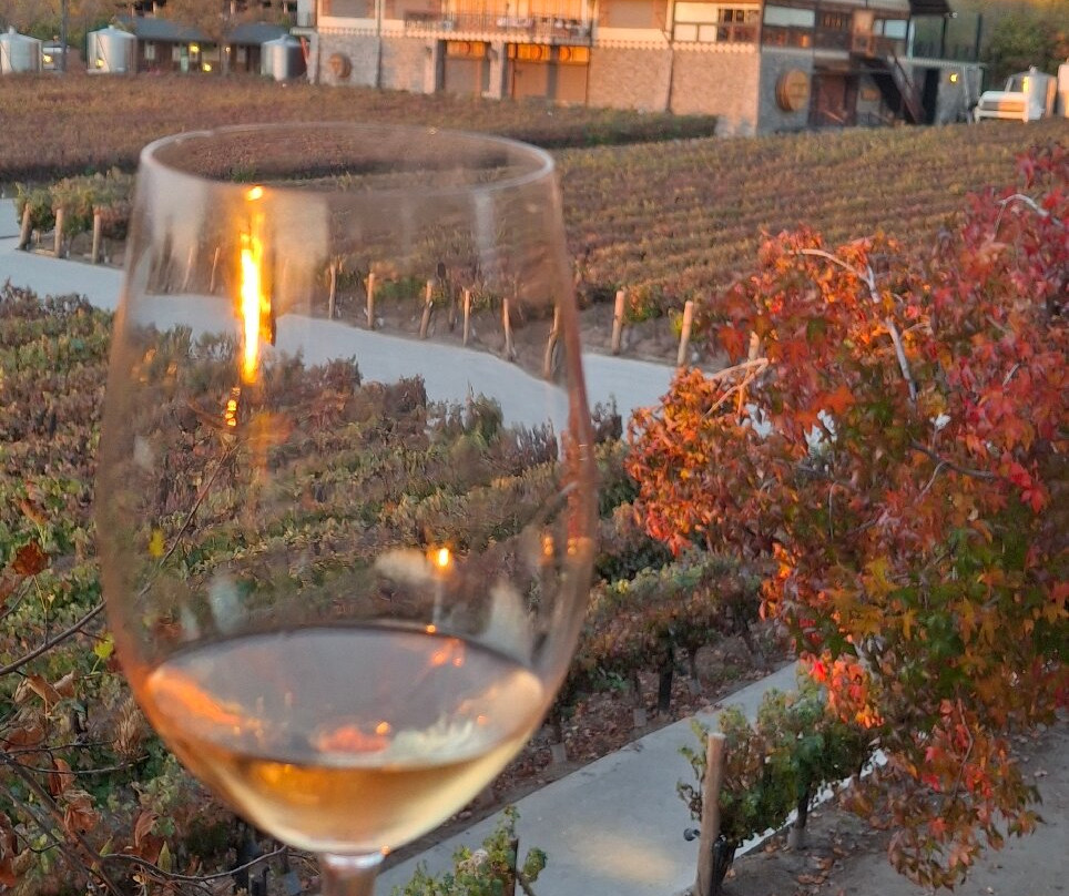 Alyan Family Wines-Pirque必去景点