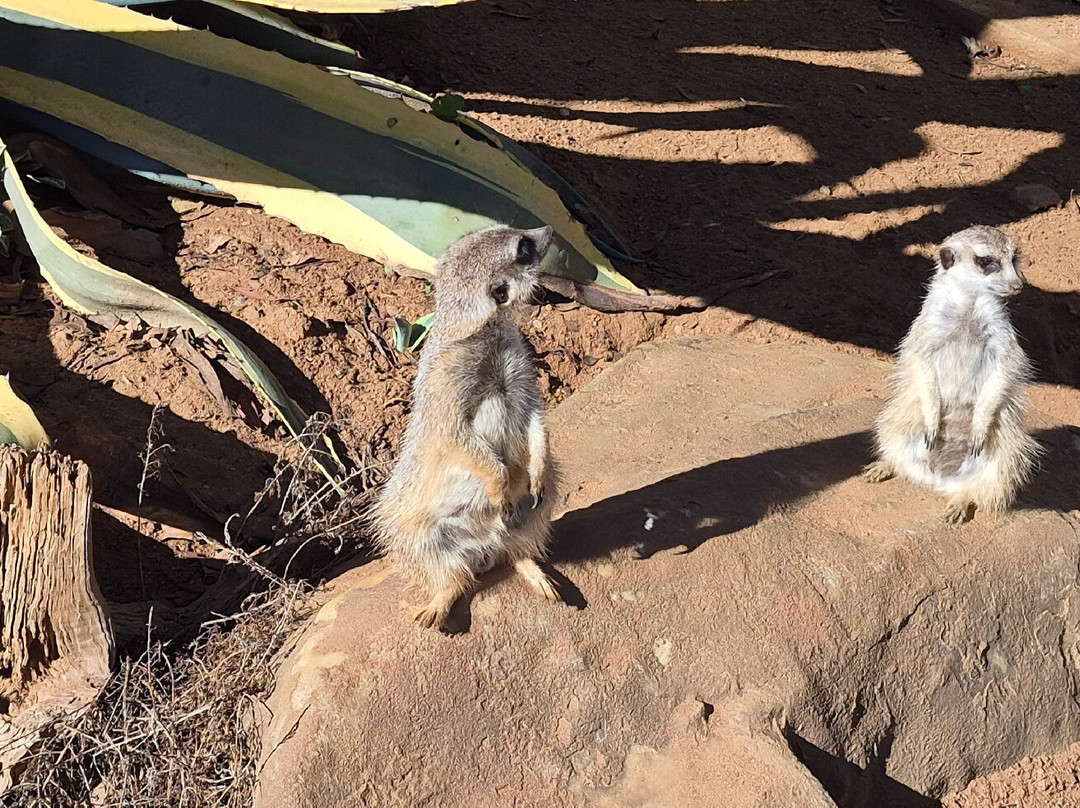 Monarto Safari Park-Monarto必去景点