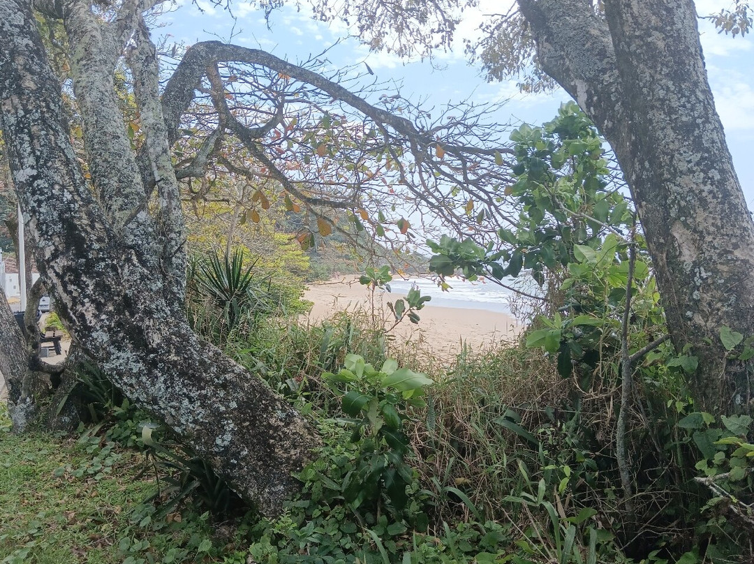 Praia Bacia Da Vovo-佩尼亚必去景点