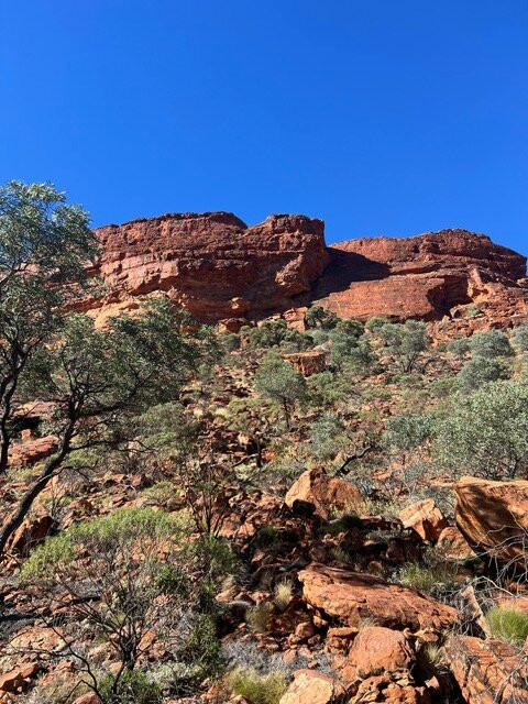 Kings Canyon-Red Centre必去景点