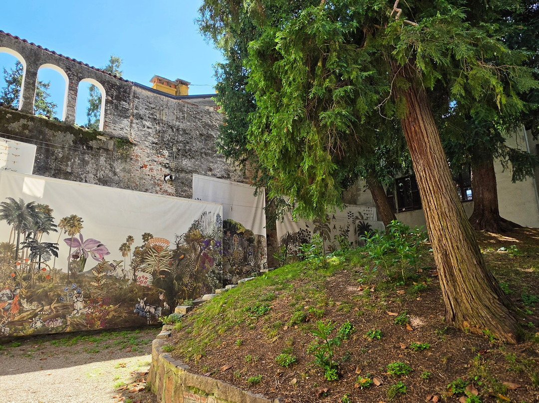 Museo di Storia Naturale Faraggiana Ferrandi-诺瓦拉必去景点