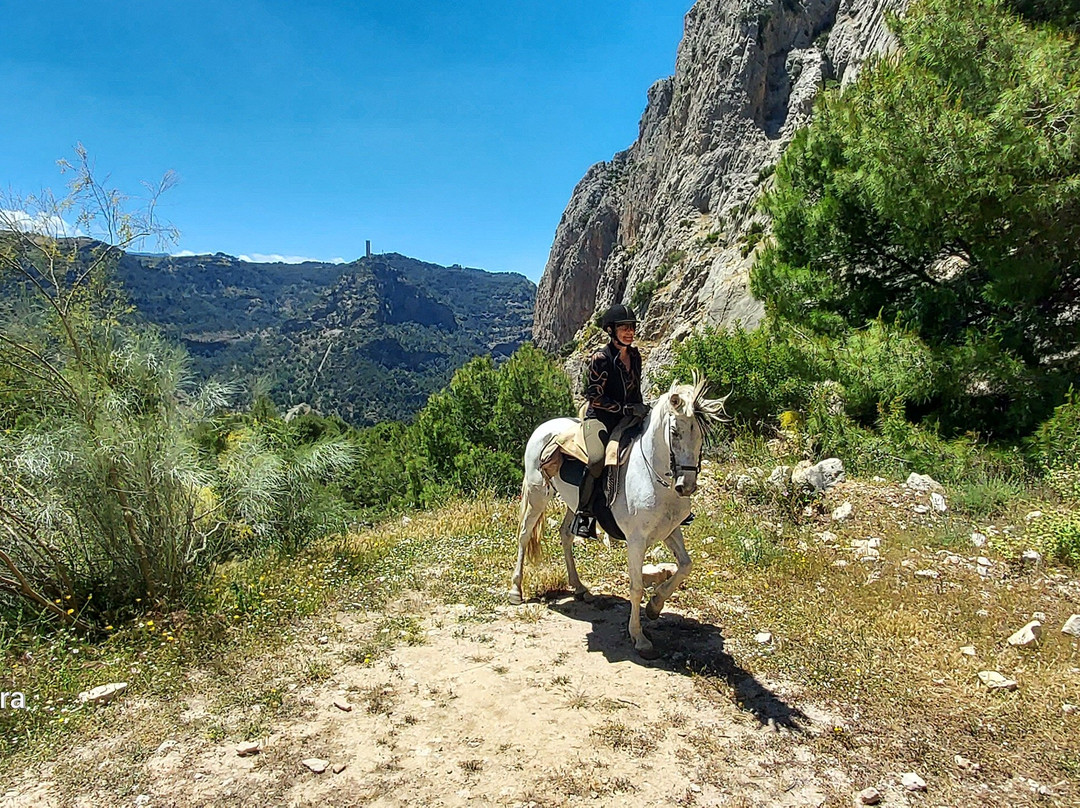 Horse Riding El Chorro-El Chorro必去景点