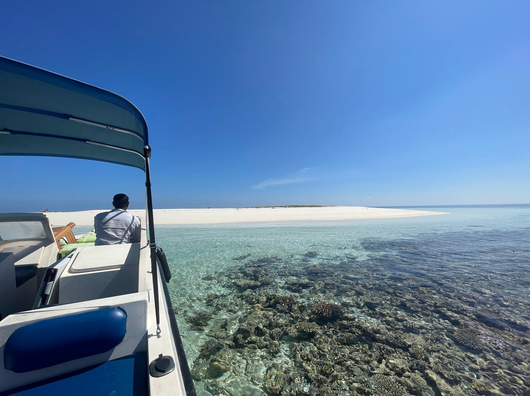 Local Travel Beach主图