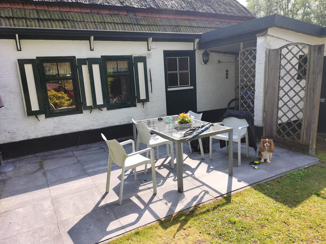 Warmenhuizen酒店住宿-Hoeve Te Gast