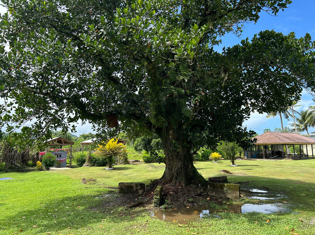 The Jewel Of Fiji - Day Tours-维提岛必去景点
