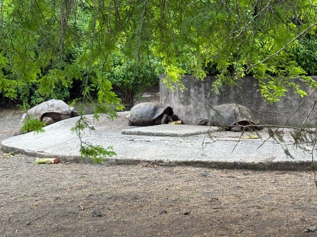 Go Galápagos Tours-Baltra必去景点