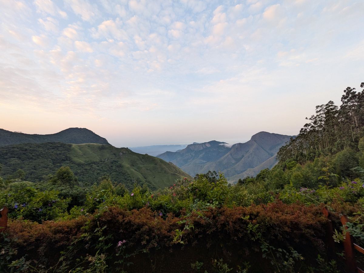 钱迪斯小雨滴酒店-旅行者
