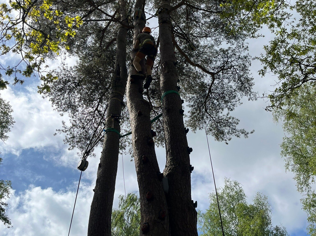 Multilevel Ziplines & Klätterpark-Hassleholm必去景点