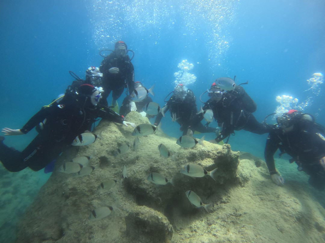 Blue World Diving Center-Tekirova必去景点