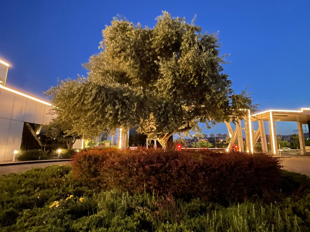 Millennium Kurdistan Hotel & Spa主图