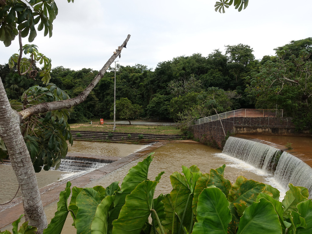 Cesamar Park-Palmas必去景点