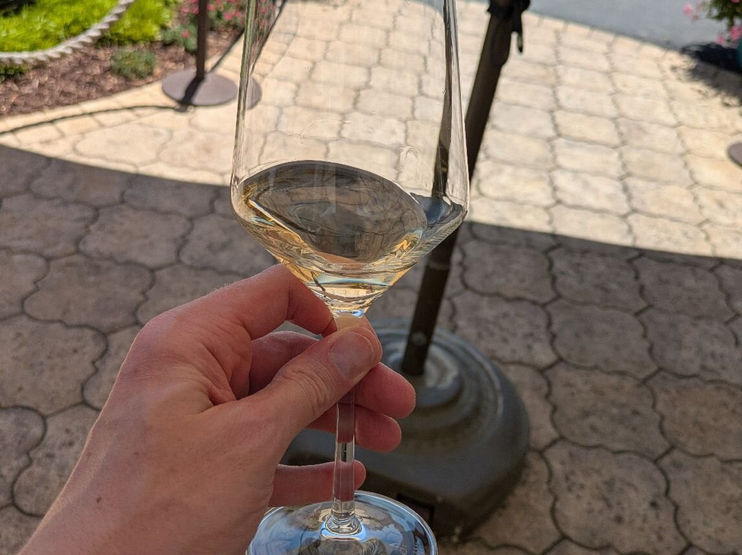 DAOU Vineyards-帕索罗布尔斯必去景点