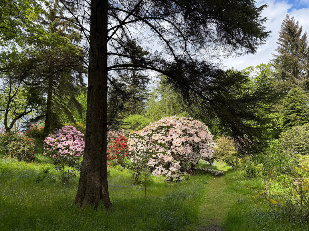 Geilston Garden-Dumbarton必去景点