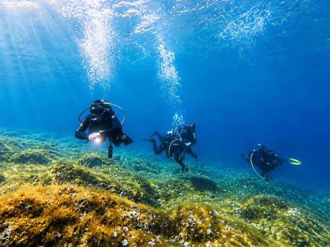 Connex Diving-Stara Novalja必去景点