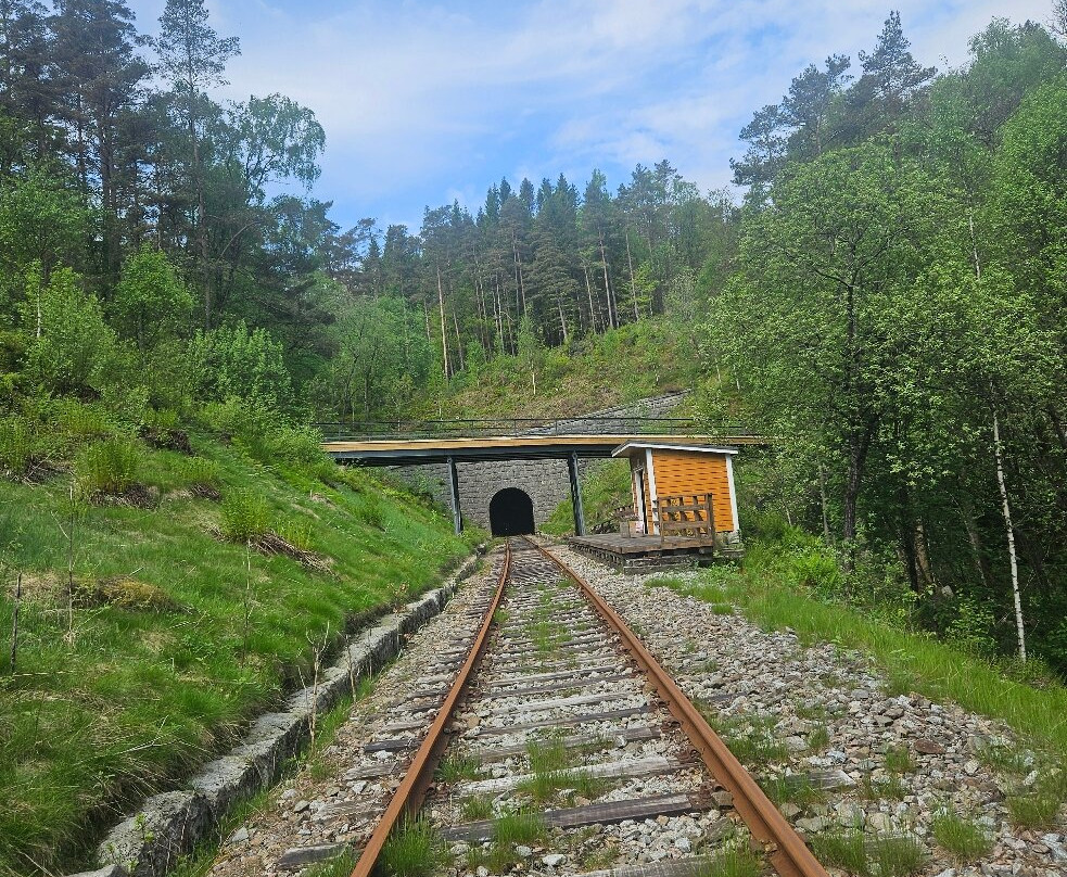 Dresinsykling på Flekkefjordsbanen Day Tours-弗莱克菲尤尔必去景点
