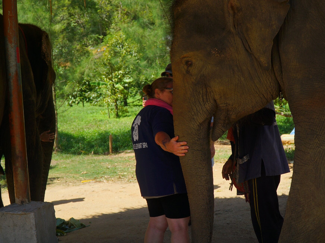 Samui Elephant Spa-苏梅岛必去景点