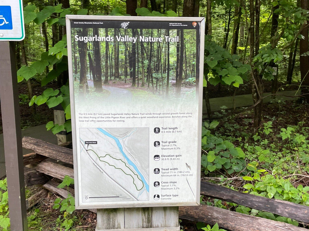 Sugarlands Valley Nature Trail-大雾山国家公园必去景点