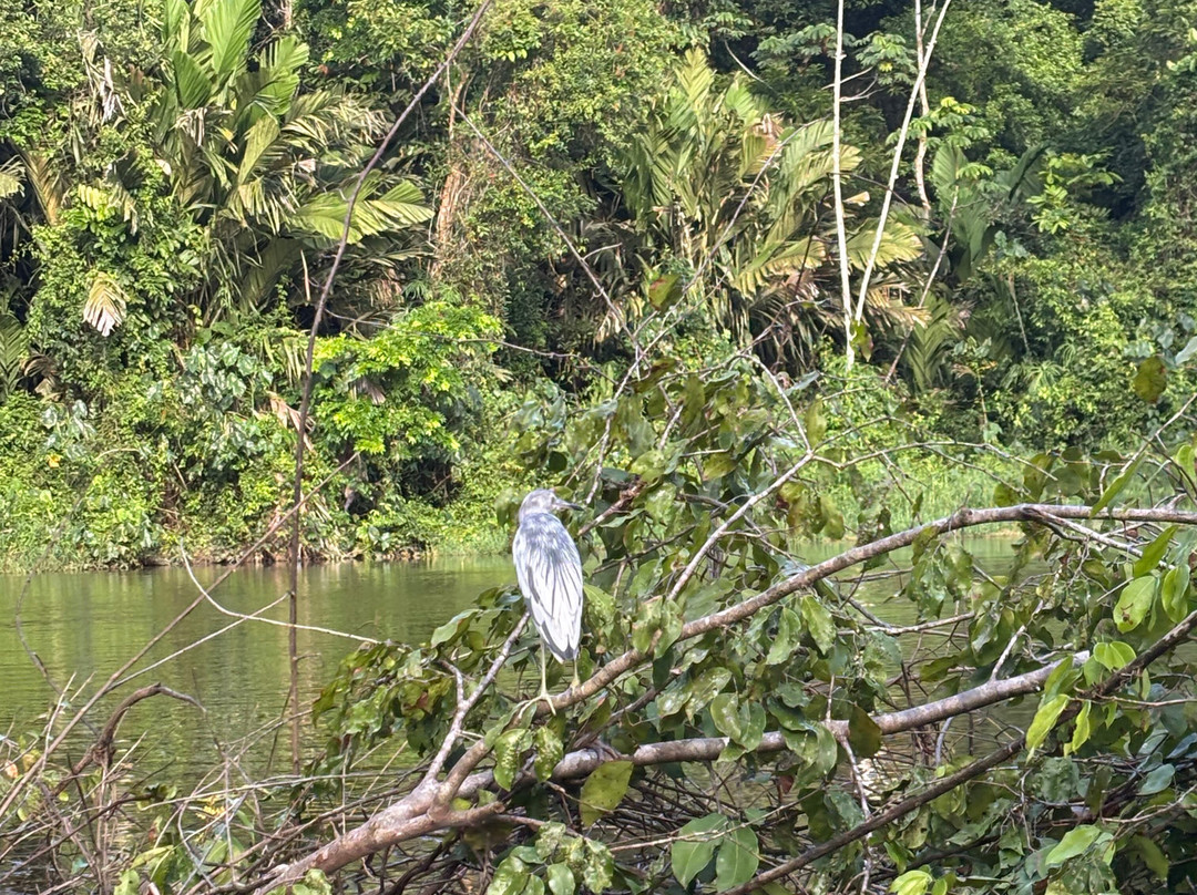 Costa Rica Roots Tours-托图杰多必去景点